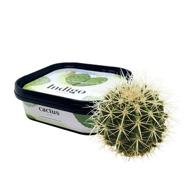 Кальянна чайна суміш Indigo Smoke Cactus (Кактус, 100 г)