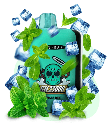 Одноразова Pod-система Elf Bar GH 23000 Polar Mint (М'ЯТА)